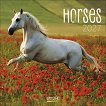Стенен календар - Horses 2027 - календар