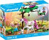 Playmobil - ����� �� ���� � ����� ��������� - ������ �����