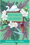 При извора на реката - Патриция Сейнт Джон - детска книга