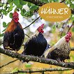   - Chicken 2026 - 