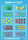   :   1  10 - 50 x 70 cm - 