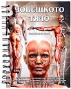 Човешкото тяло - илюстрован атлас - атлас