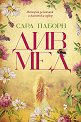 Див мед - Сара Паборн - книга