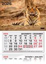 Трисекционен календар - Бенгалски тигър 2026 - календар