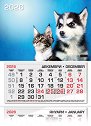 Трисекционен календар - Куче и коте 2026 - календар