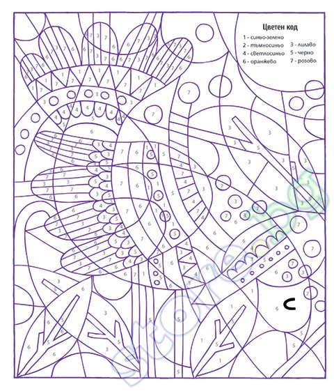 store.bg - Голяма красива книга за оцветяване по номера - книга