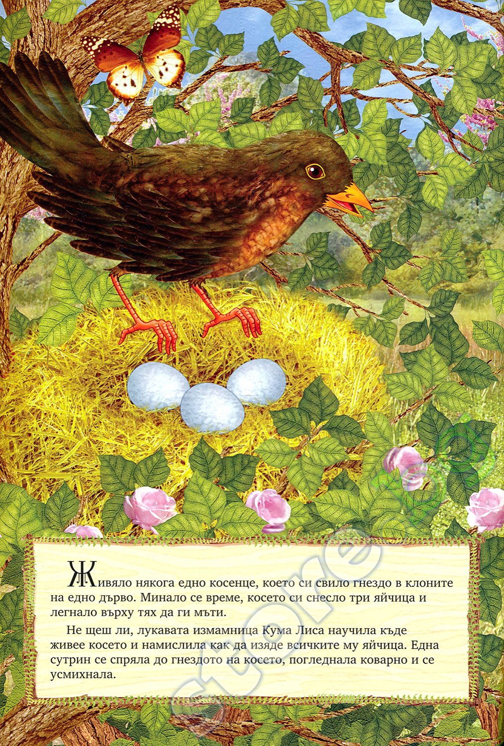 store.bg - Косе Босе - книга
