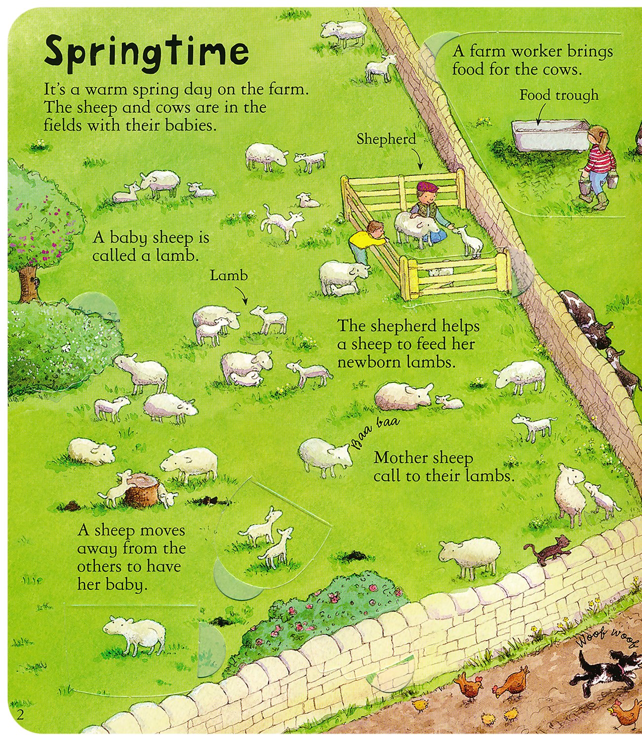 Look Inside a Farm : Daynes, Katie, Abel, Simone