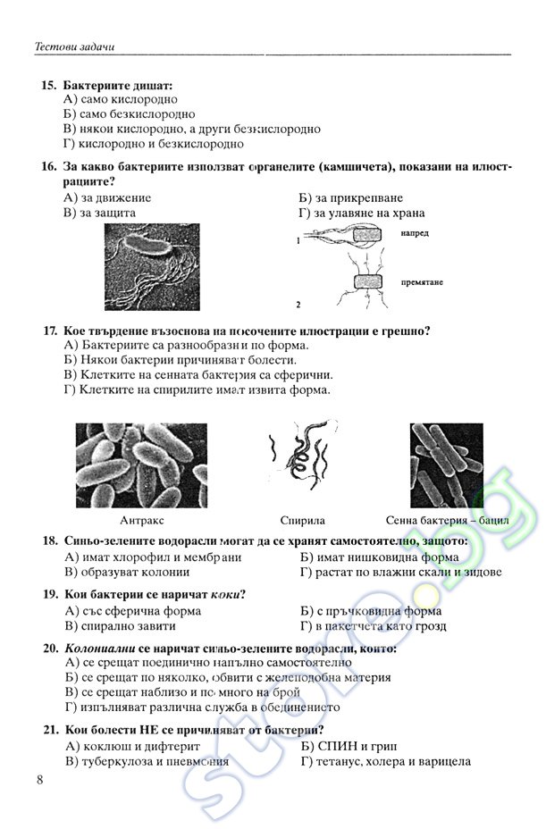 Решение о Переименовании ООО образец