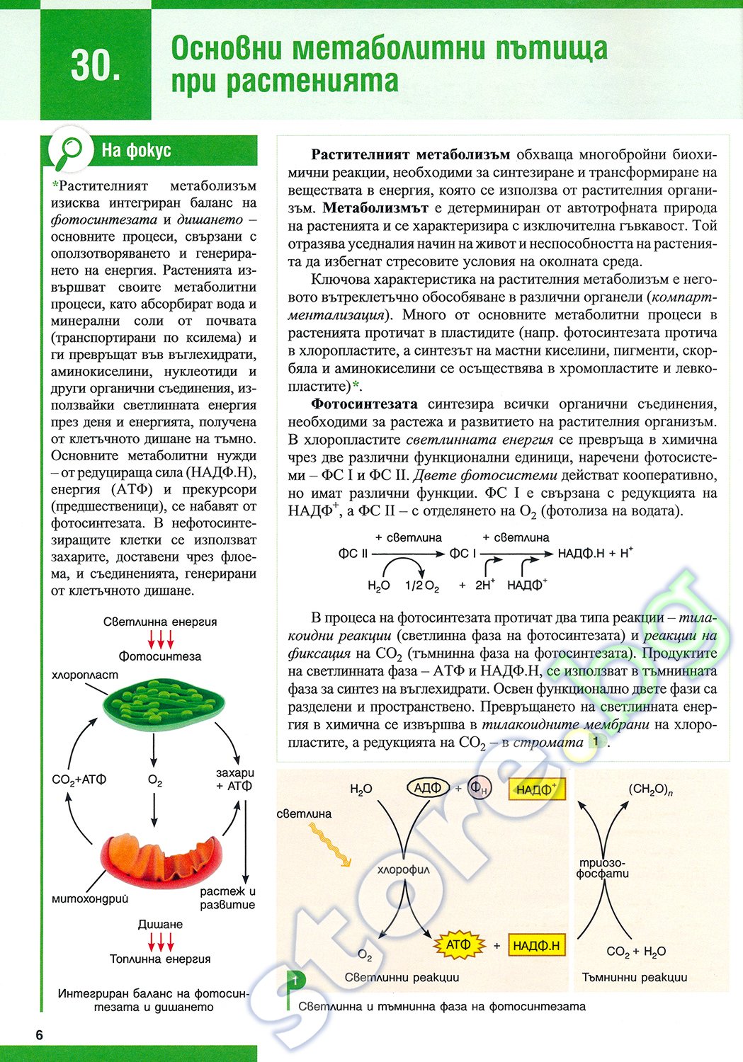 Выделение у растений схема. Конспекты по биологии. Конспект по биологии 5. Конспекты по биологии егэ. Выделение у растений схема.
