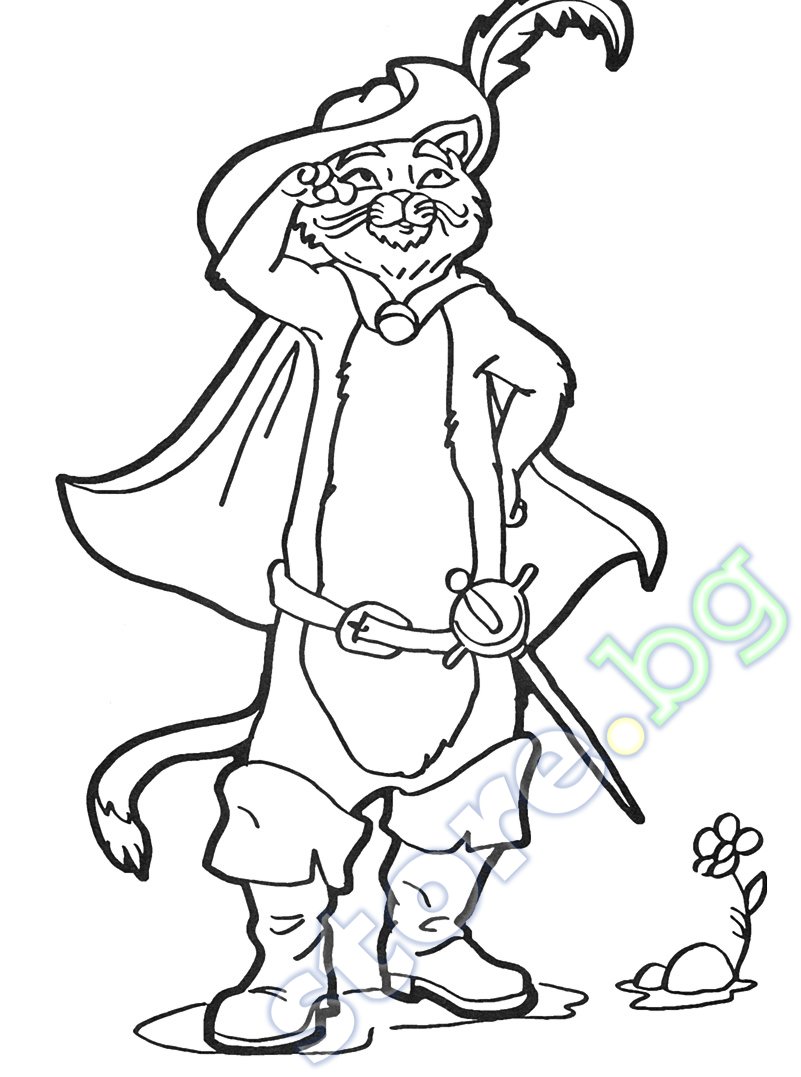 store.bg - Котаракът в чизми - книга