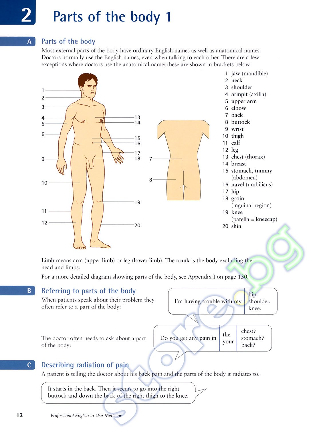 online The Lung Circulation. Pathologic Physiology and Therapy of