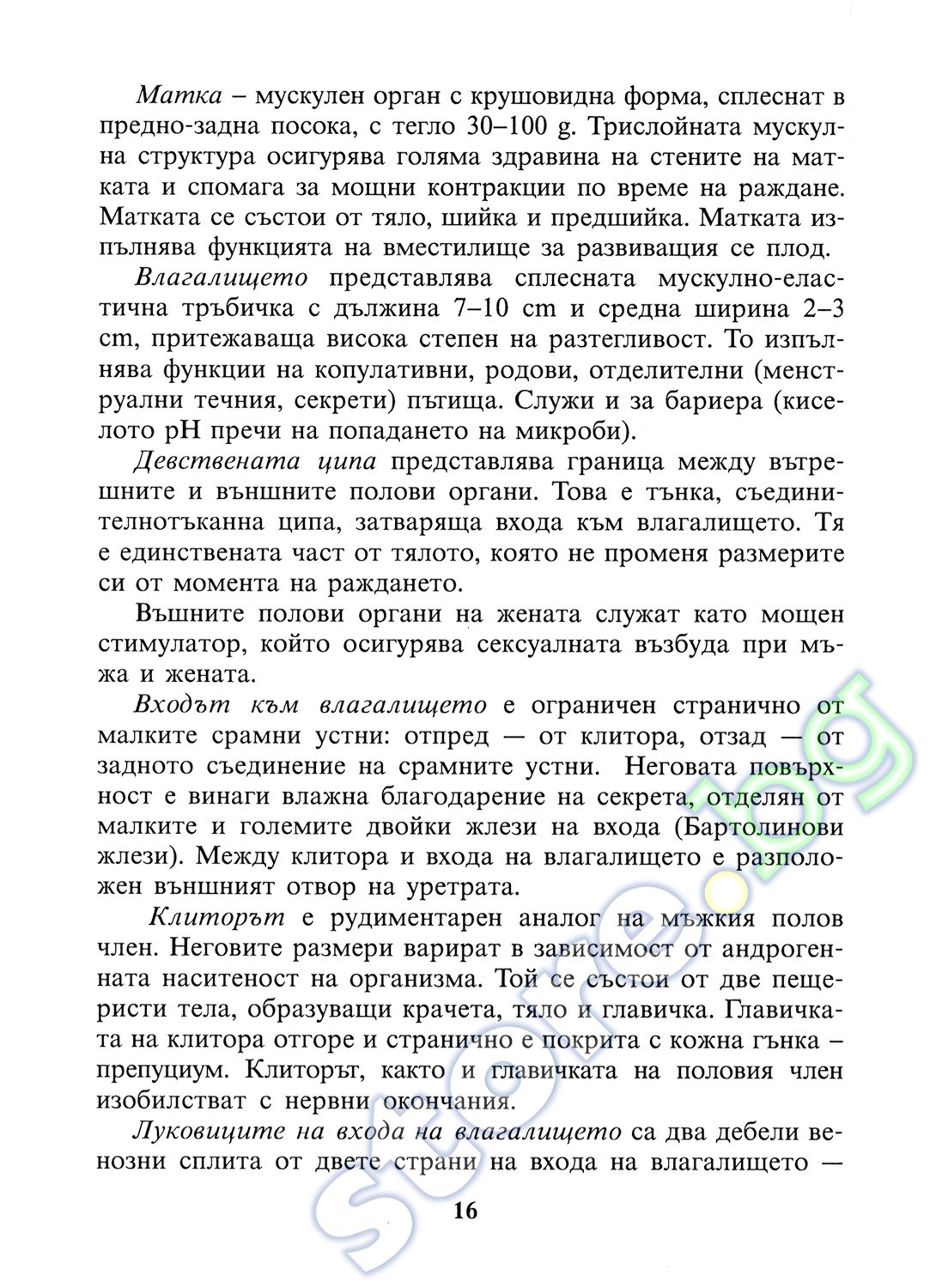 Кастинги Вудмана (хардкор) порно