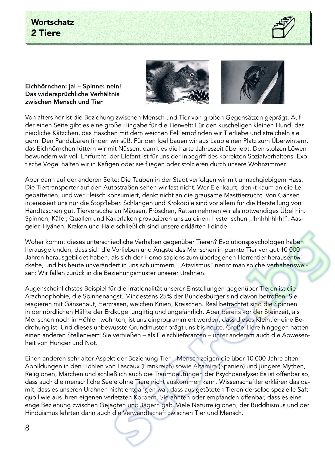 Storebg Mit Erfolg Zu Telc Deutsch Zertifikat Deutsch Plus