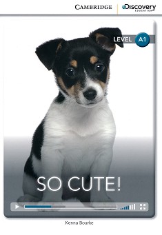 Cambridge Discovery Education Interactive Readers - Level A1: So Cute! - Kenna Bourke - 