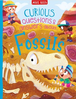 Curious Questions & Answers about Fossils - Phil Steele -  