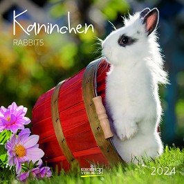   - Kaninchen. Rabbits 2024 - 