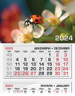   -  2024 - 