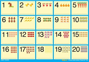   :   1  20 - 100  70 cm - 