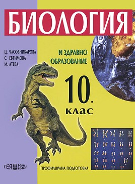      10.  -   - .  , -  ,   - 