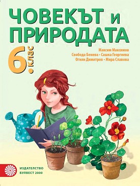     6.  -  ,  ,  ,  ,   - 