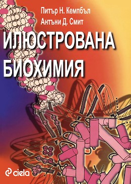   -  , . -   - 