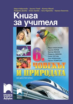        6.  - . , . , . , . , . , . , .  -   