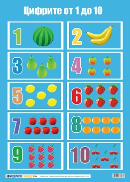   :   1  10 - 50 x 70 cm - 