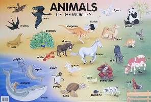     : Animals of the World 2 - 77 x 52 cm - 