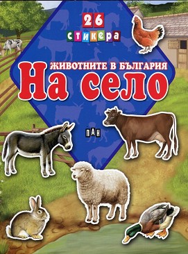   :   + 26  -  