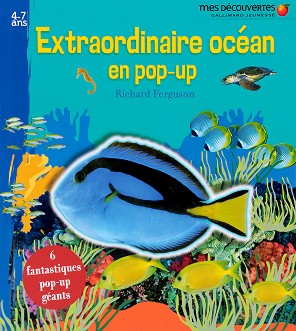 Extraordinaire ocean en pop-up - Richard Ferguson - 