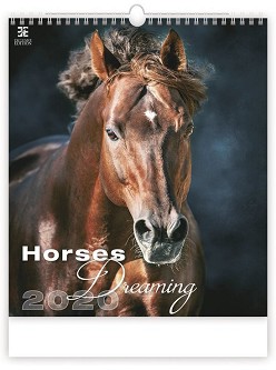   - Horses Dreaming 2020 - 