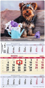 3D    2020 -  - 