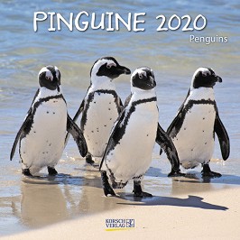   - Penguins 2020 - 