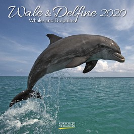   - Whales & Dolphins 2020 - 