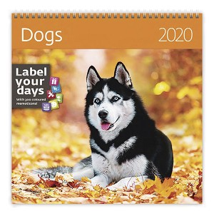   - Dogs 2020 - 