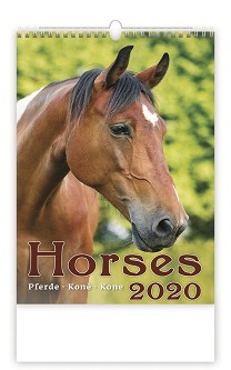   - Horses 2020 - 