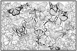 Картина за оцветяване - Пеперуди - продукт