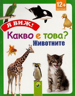  !   ? -  -  