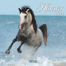   - Horses 2021 - 