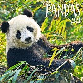   - Pandas 2021 - 
