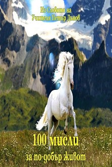 100   -  :       - 