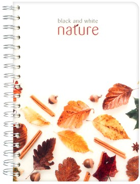     - Nature :  B5    - 200  - 