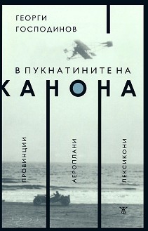 В пукнатините на канона - Георги Господинов - книга