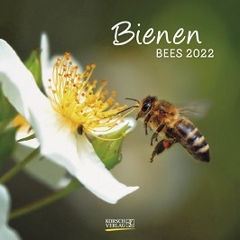   - Bienen 2022 - 