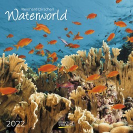   - Waterworld 2022 - 