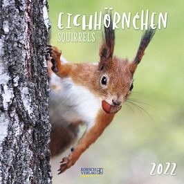   - Eichhornchen 2022 - 