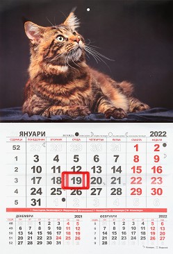 Стенен календар - Котка 2022 - Формат A3 - календар
