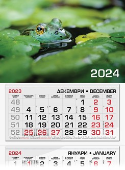   -  2024 - 