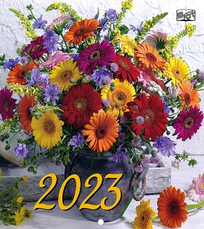   -  2023 - 